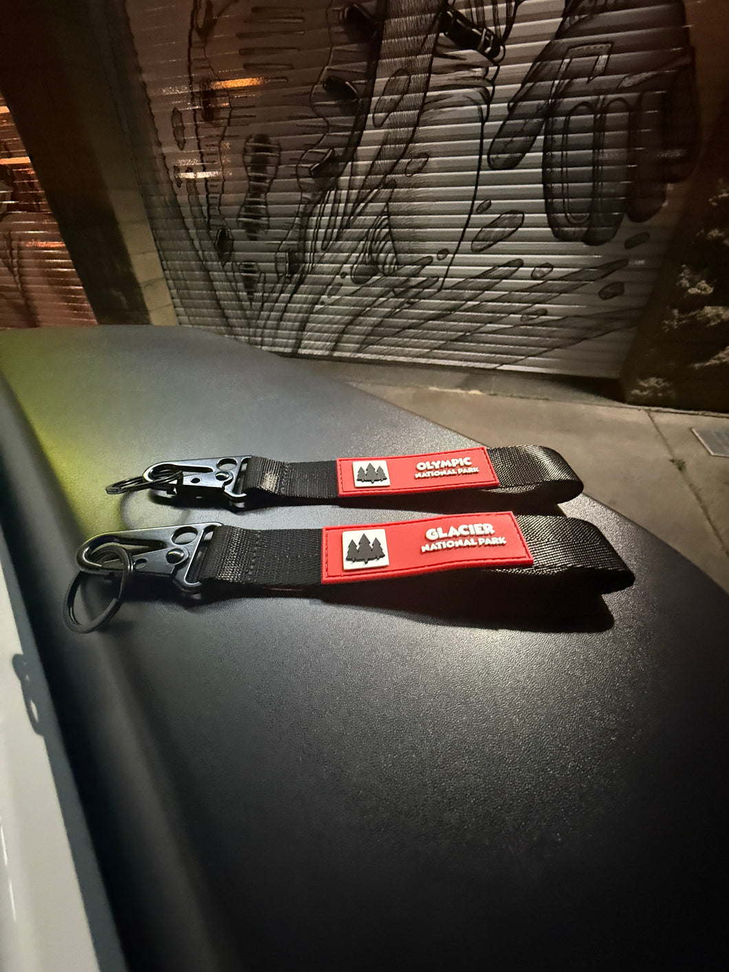 National Park Lanyards (3PK)